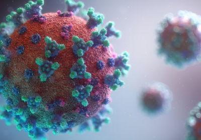 新型冠状病毒肺炎：病源的探寻与病毒的特征