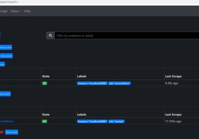 SpringBoot+Prometheus采集Metrics指标数据