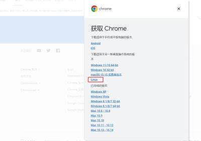 （python3爬虫二）Linux安装谷歌浏览器以及对应版本驱动程序