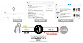 怎么建立企业网站免费的：揭秘街拍客跑路事件真相：匿名账号引发的权利与义务之争