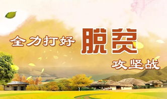 十大企业网站：「嘉定扶贫攻坚：脱贫先脱“土”」