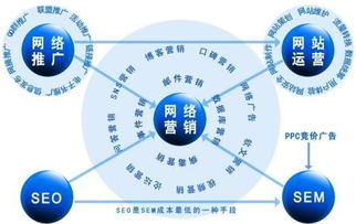 SEO优化教程：如何从狼雨中学习到有效的SEO技巧？