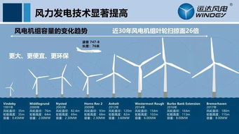 金盾国际：时代背景下的颠覆者