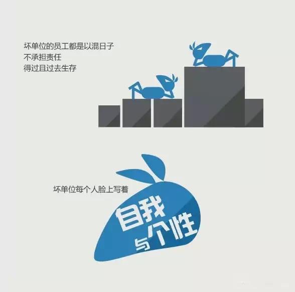 长沙专业网站制作公司：突破管理瓶颈，遂宁市人才网打造高效平台