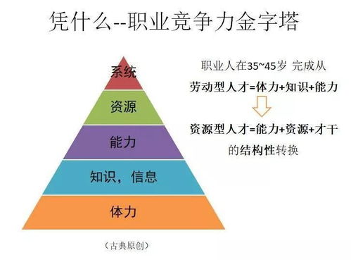 企业网站建设公司哪家便宜：职场充电指南：如何跳出舒适区，成为高竞争力人才？