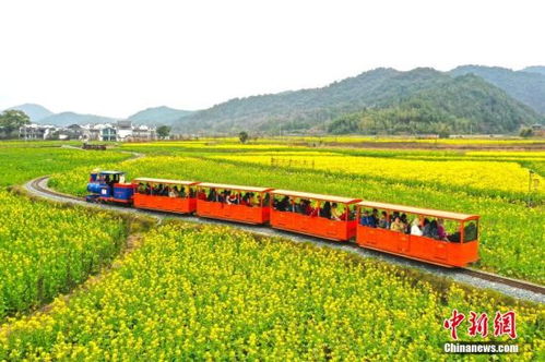 怎样设计网页：什么季节去张家界最为合适？