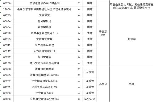 如何高效地处理济南大学教务处的事务？