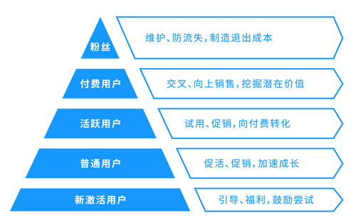 成功运营网站的关键经验分享