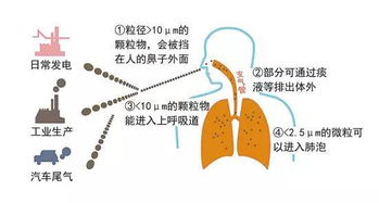 H2：新冠病毒的污染物同样会对人体造成感染