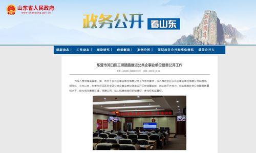 个人网页制作完整教程：徐汇区政府网站建设方案