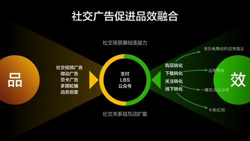 「优化后的标题」从零开始，手把手教你实现自己网站的前三名排名