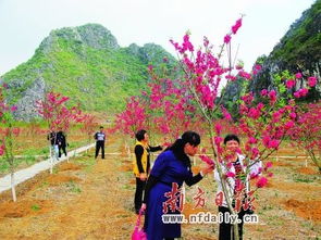 怎样设计网页：什么季节去张家界最为合适？