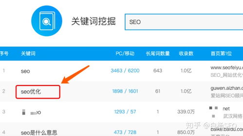 免费域名服务器：如何优化外贸网站的SEO？