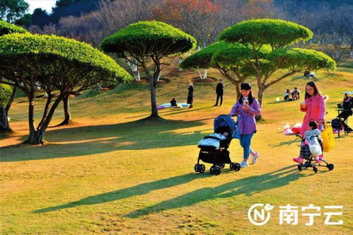 网站首页设计模板：「重写后标题」日喀则天气情况即将转好，还需要注意哪些气象变化？