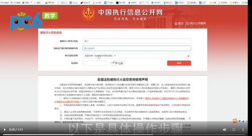 揭秘中国法院执行信息查询公开网，了解司法公开细节