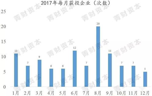 深度解析Leapmotor负责人涉嫌非法集资及欺诈事件：投资人如何保护自己？