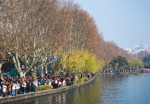 题目：探讨九寨沟旅游的黄金时间