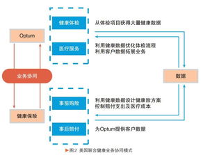 重新定义卡盟业务：炫日卡盟深度分析