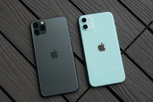 苹果官方发布全新iPhone 12：革新设计，迈向5G新纪元