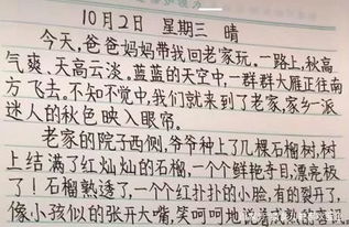 笔迹如何提升？让你的字迹变得更美丽