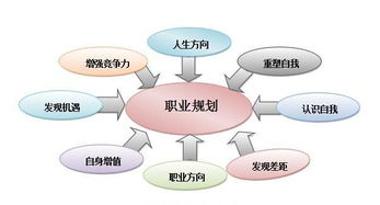 从职业规划到未来职业发展，让我们来看看职业发展的重要性