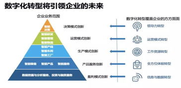 探讨吉林省网络科技公司成立背后的发展动力