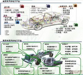 探访泰州汽车市场，解密成功的商业模式