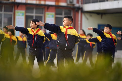 龙影鞭纹：华夏武术精华的绝妙融合,龙影鞭纹：华夏武术精华的绝妙融合,第3张