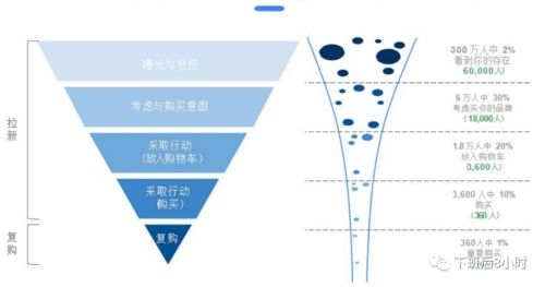 创新网络营销策略，提升品牌曝光率