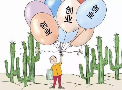 从私家厨师到创业平台：贼牛网的难忘创业历程,从私家厨师到创业平台：贼牛网的难忘创业历程,第1张