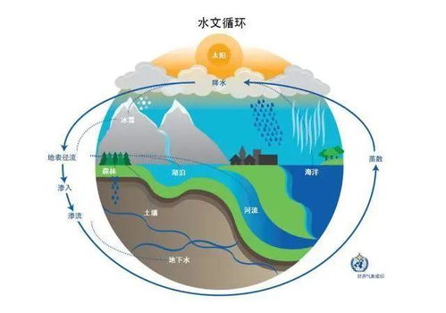 探究世界水资源与河流管理-国际河工委员会第三届大会回顾