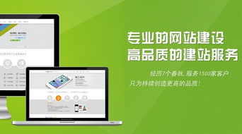 金华网站建设公司，从设计到优化，助力品牌线上落地