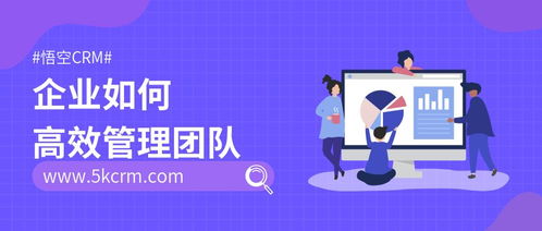 如何让你的网上商城迅速晋升爆款之路？