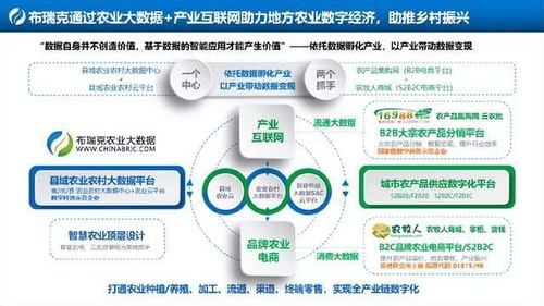 陆河论坛：从传统乡村到数字化社区的转型