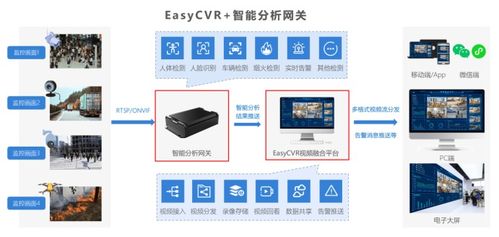 美食区必备！这些技巧让你的熟食柜更健康、更方便