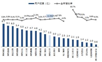 掌握网络营销技巧，绽放你的市场潜能！