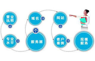 如何选择一家优质的秦皇岛网络公司？