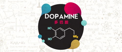 大脑中的奖赏机制：为何沉迷成瘾？