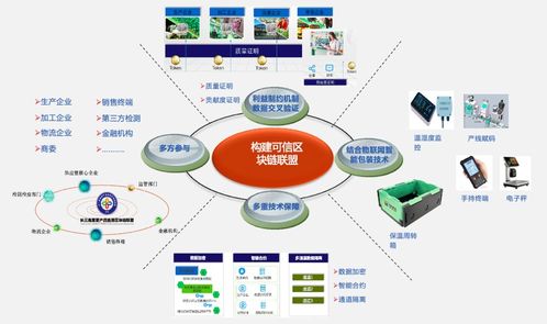 探寻溧阳信息港：未来网络时代下的数字化重镇