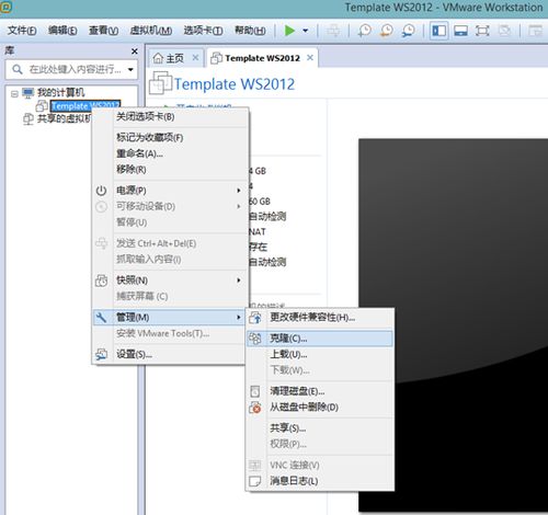 从科幻美学角度解读克隆空间网站