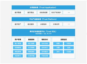 金金网：利用专业技术赋能互联网金融行业