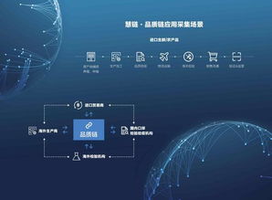 探秘紫金网络2020年上半年财报，超过一倍的净利盈利让人惊叹