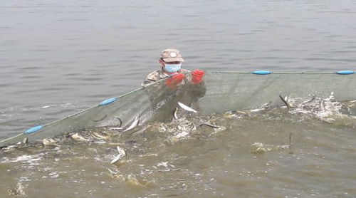 从渔业行业革新谈谈渔猎网的作用