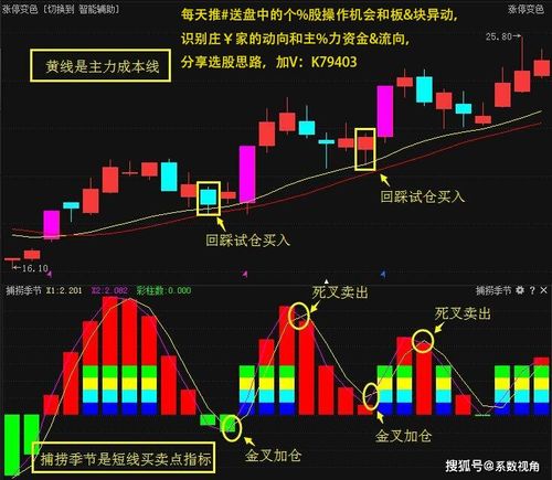 如何利用配资114进行低风险股票投资