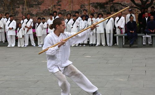 龙影鞭纹：华夏武术精华的绝妙融合,龙影鞭纹：华夏武术精华的绝妙融合,第1张