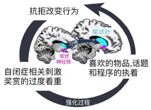 大脑中的奖赏机制：为何沉迷成瘾？