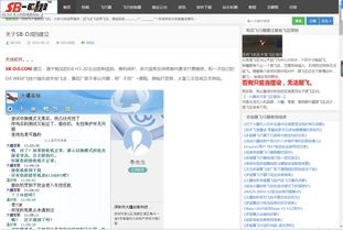 探究洪湖站长网：为什么它成为了许多站长的首选？