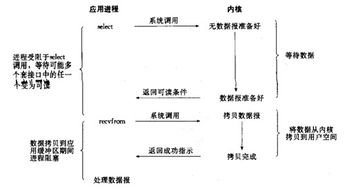 成为高效程序员的五大关键行为