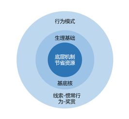 大脑中的奖赏机制：为何沉迷成瘾？