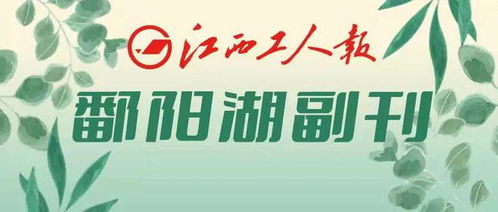 如何打造具有竞争力的地方新媒体平台？-以郧西在线为例